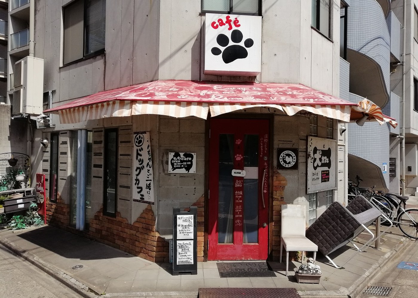 Dog-friendly place